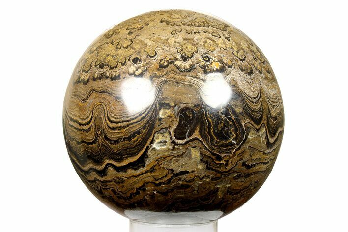 Huge Polished Stromatolite (Greysonia) Sphere - Bolivia #264393